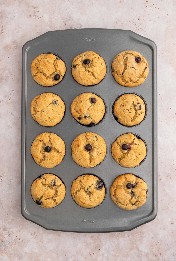 Baked blueberry protein muffins in a muffin tin.