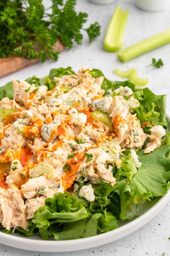 Buffalo chicken salad  on a bed of lettuce in a white bowl with buffalo sauce drizzled on top on a grey background.
