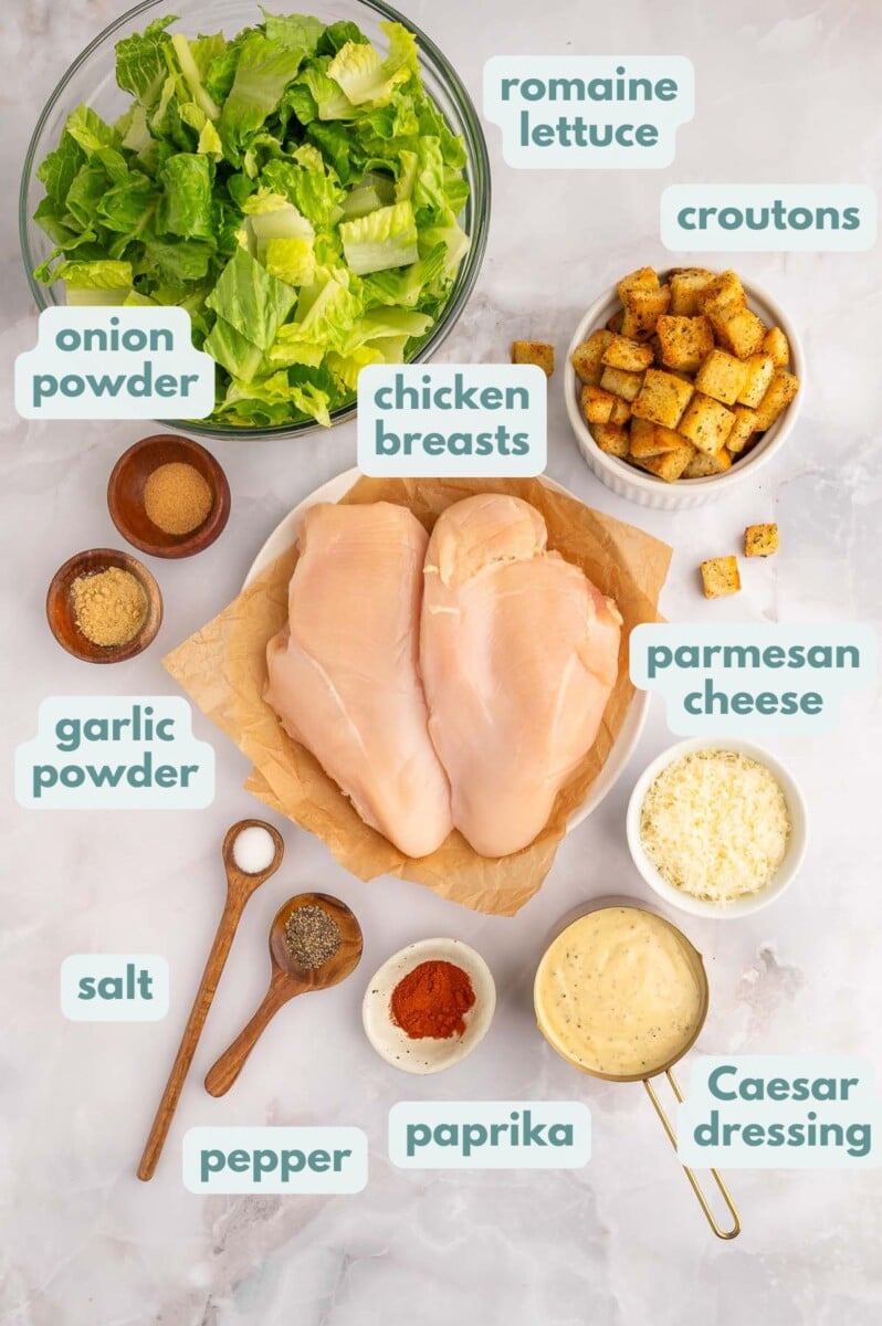 Ingredients for grilled chicken caesar salad in small bowls, labeled: romaine lettuce, croutons, chicken breasts, parmesan cheese, caesar dressing, paprika, salt, pepper, garlic powder, onion powder
