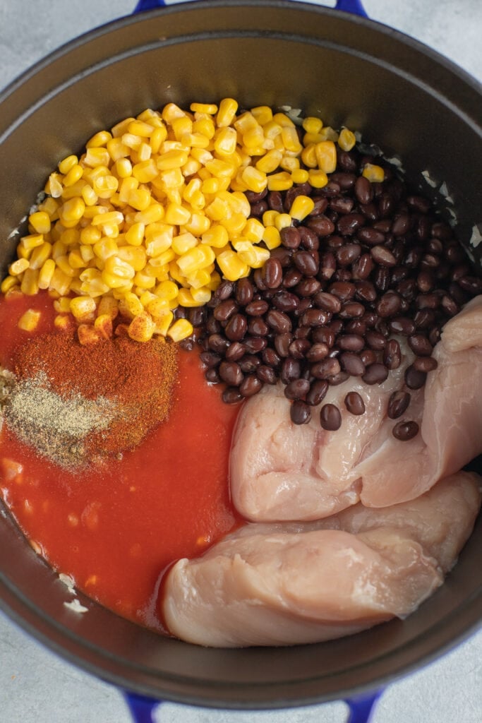 Ingredients for chicken taco soup in a pot before being cooked or mixed