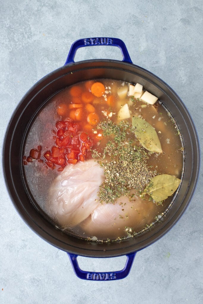 Ingredients for chicken and vegetable soup in a stock pot unmixed and uncooked