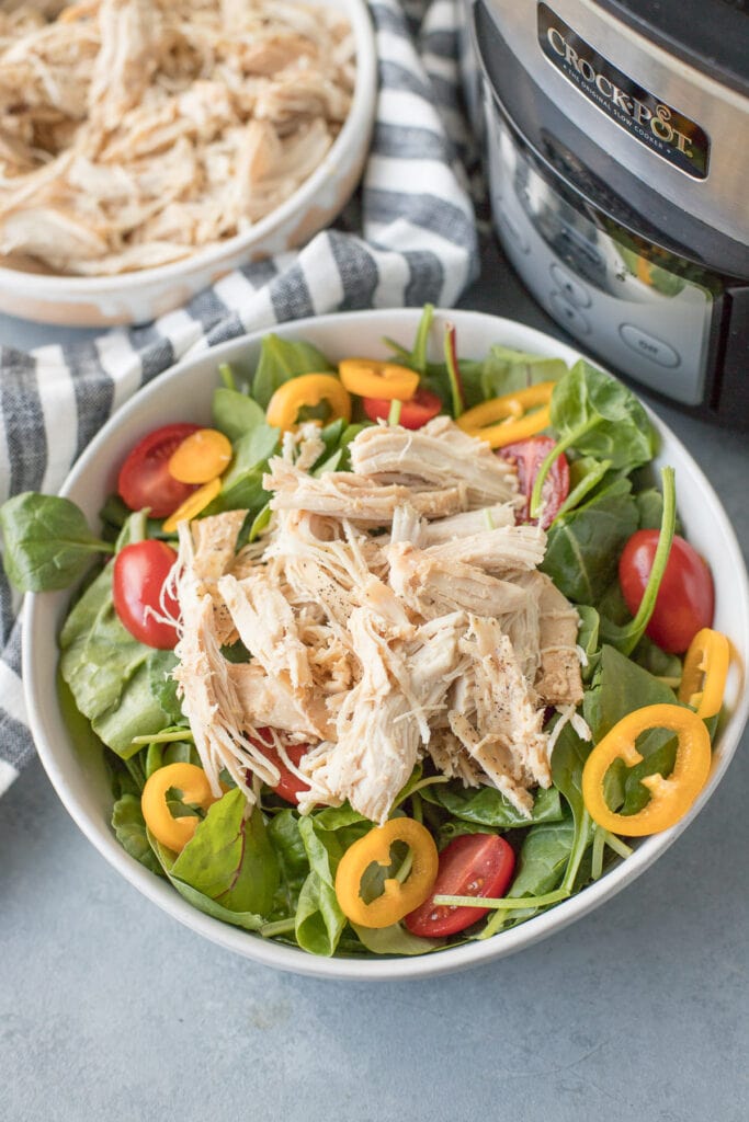 Crockpot shredded chicken on a salad with tomatoes and peppers in a white bowl on a grey background