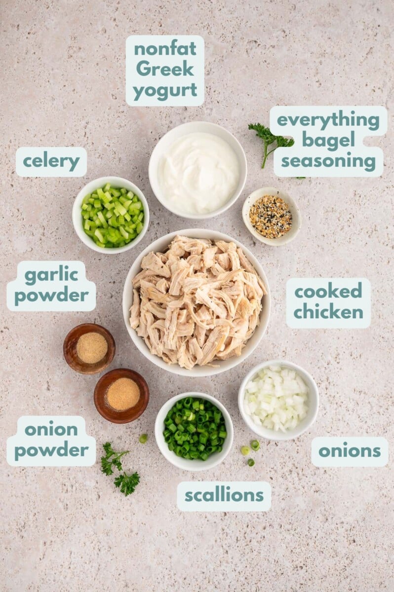 Ingredients for everything bagel chicken salad in small bowls: shredded chicken, plain nonfat greek yogurt, celery, white onion, scallions, garlic powder, onion powder, everything bagel seasoning