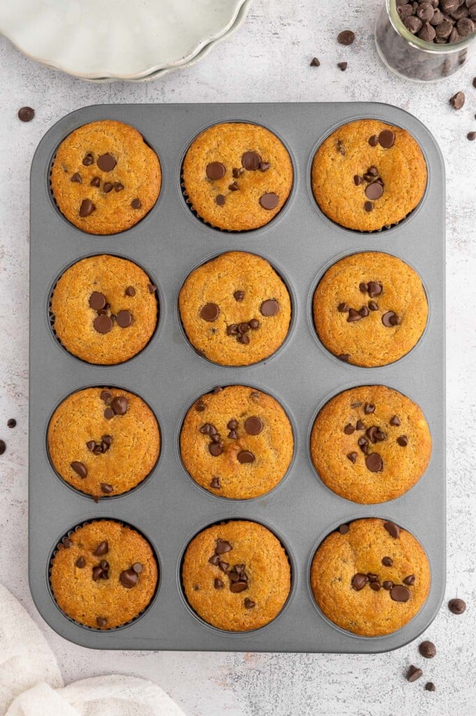 12 fresh baked healthy chocolate chip muffins in a muffin pan on a white counter.