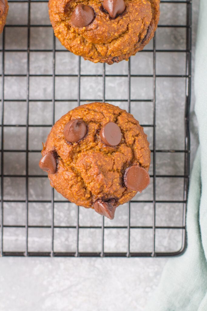 A close up overhead shot of healthy pumpkin muffins on a cooling rack.