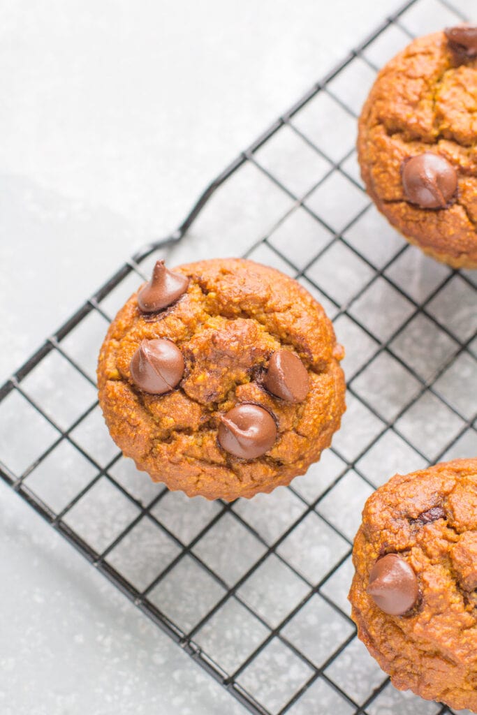 An overhead shot of healthy pumpkin muffins on a cooling rack on a grey background.