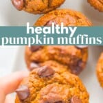 Healthy Pumpkin Muffins