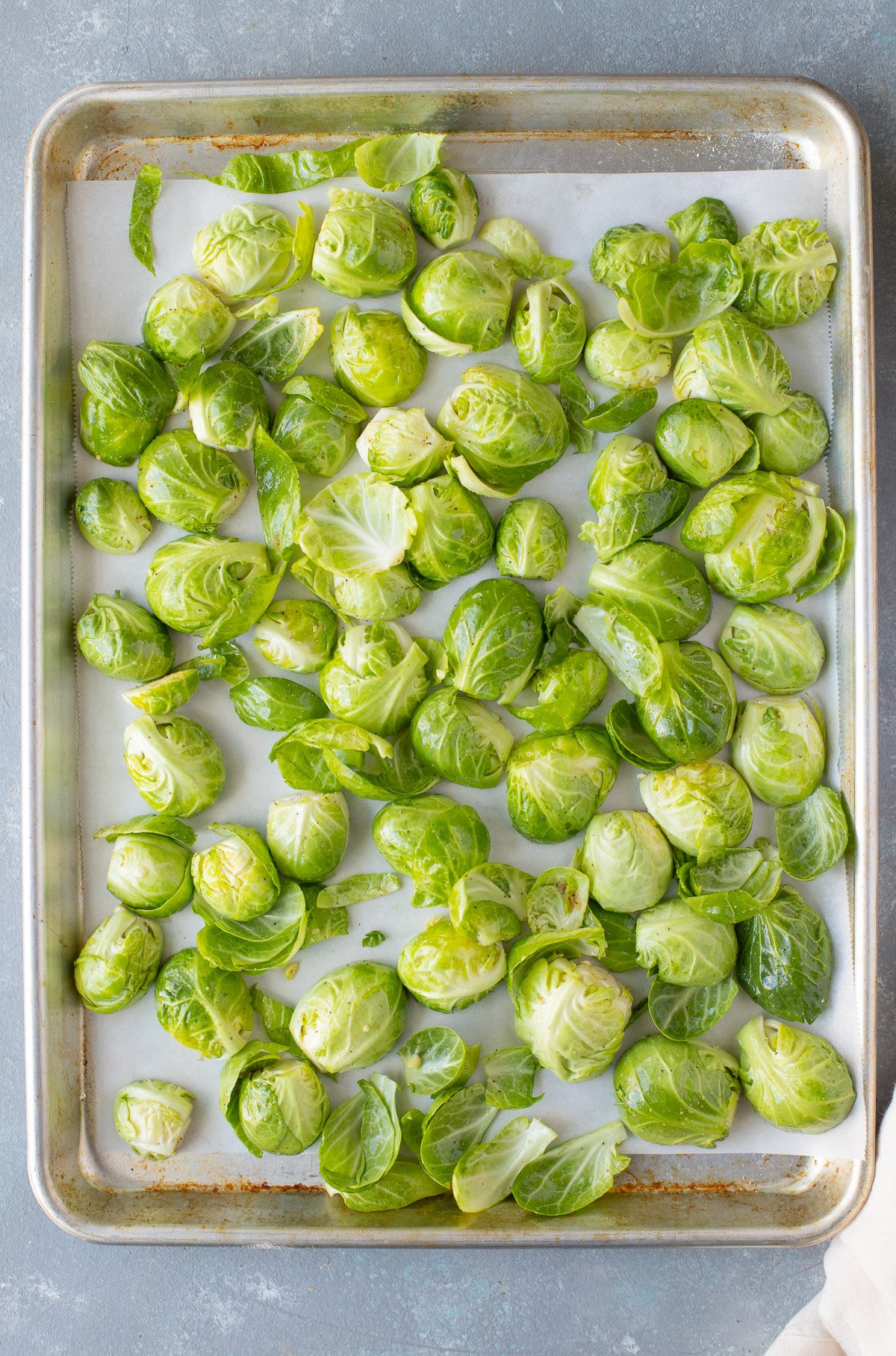 Raw brussel sprouts on a parchment lined baking sheet before roasting for parmesan brussels sprouts