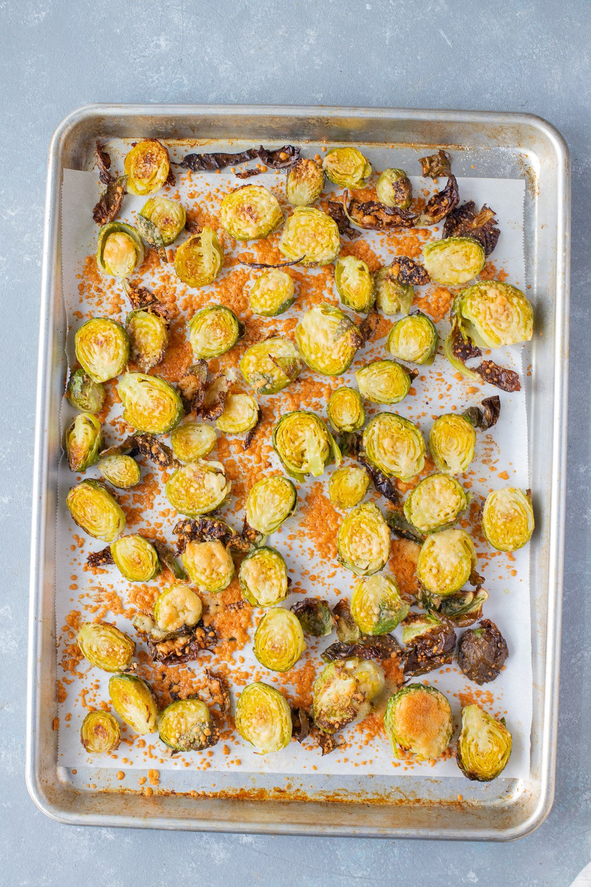 Parmesan brussels sprouts after roasting on a parchment lined baking sheet on a grey background
