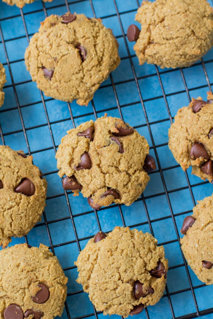 Protein Cookies on a cooling rack with a blue background.