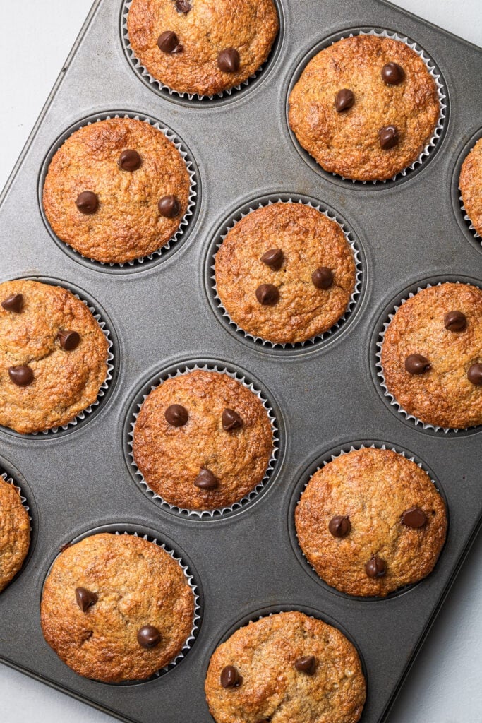 healthy banana protein muffins in lined muffin tins right out of the oven