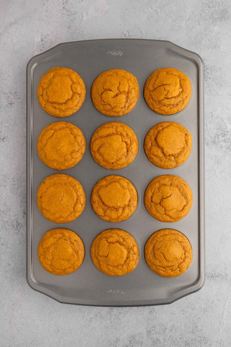 12 pumpkin protein muffins in a muffin tin just out of the oven on a grey background.