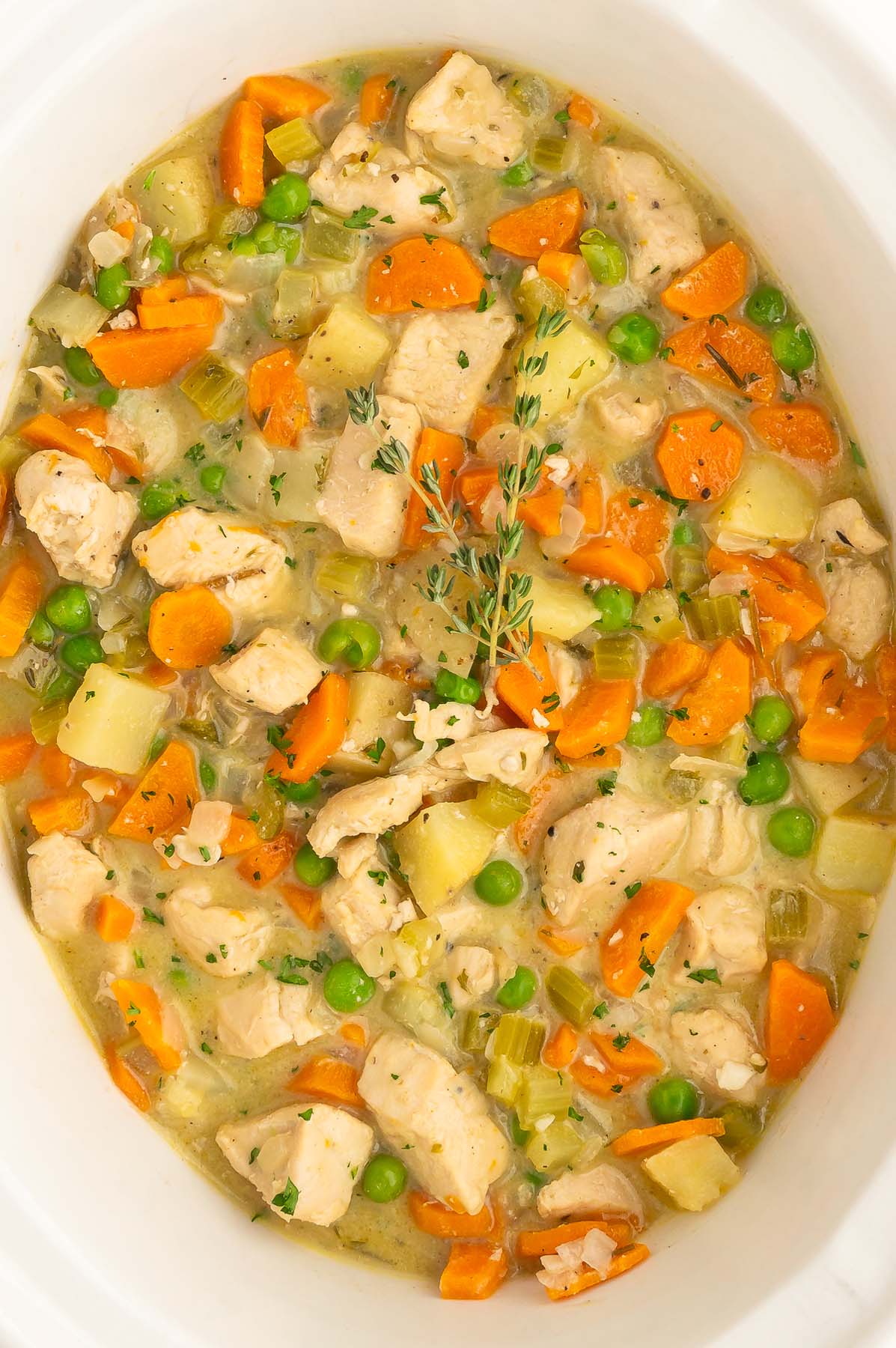 a close up of slow cooker chicken stew in a crockpot base