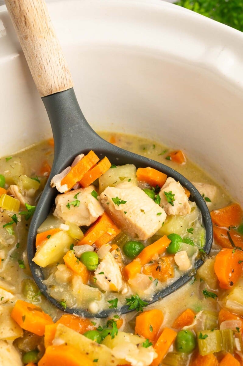 a black ladle scooping up a serving of slow cooker chicken stew