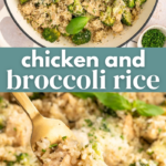 Chicken and Broccoli Rice Pin