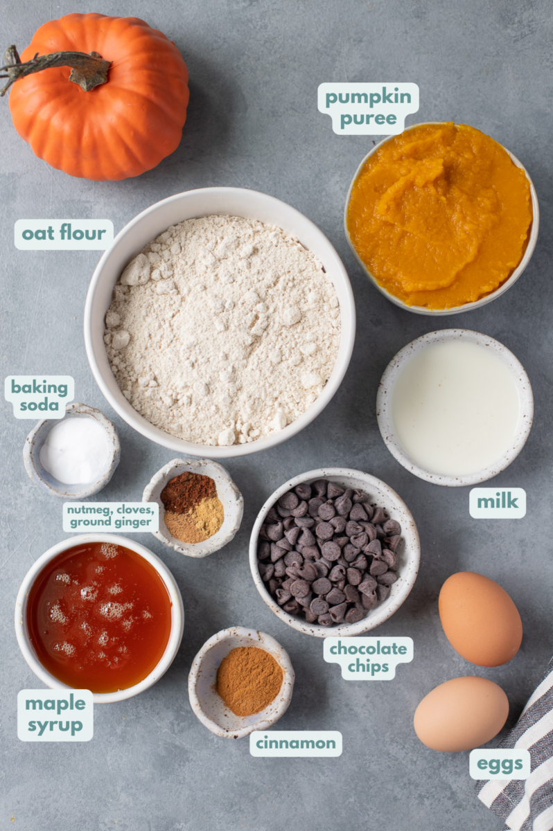 Ingredients for healthy pumpkin muffins laid out in small white bowls and measuring cups on a grey background: oat flour, pumpkin puree, honey, baking soda, almond milk, eggs, mini chocolate chips, pumpkin spice: cinnamon, nutmeg, ground ginger, ground cloves